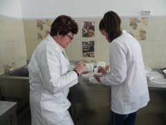 laboratorgastro1.JPG